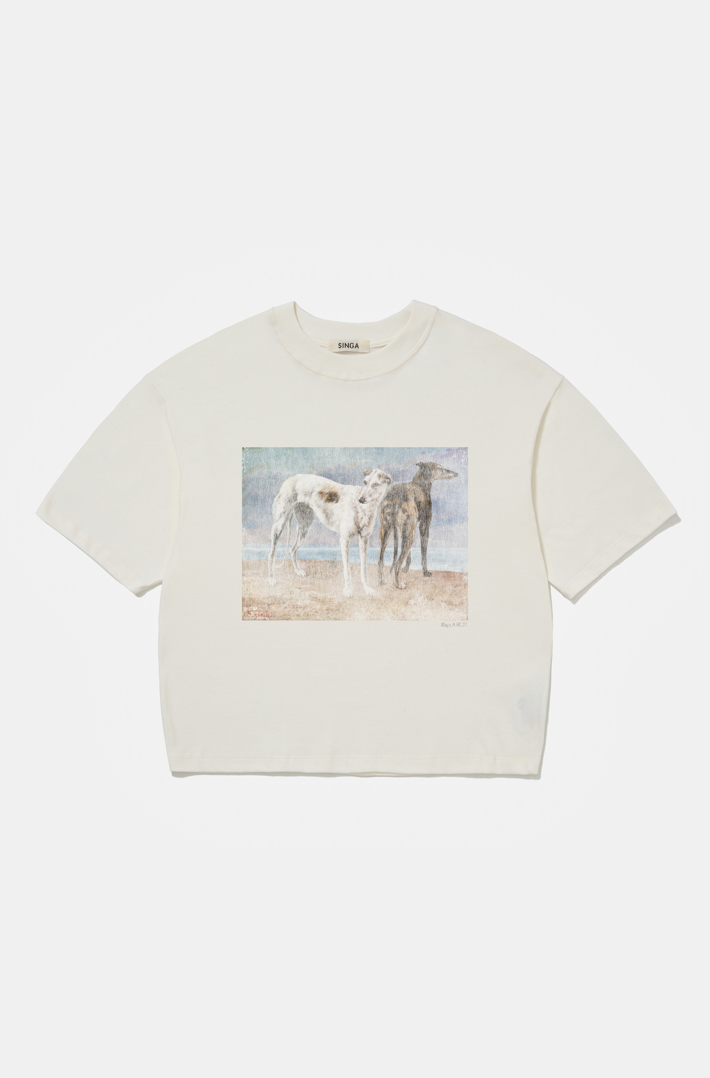 Camiseta Boxy Over Greyhound