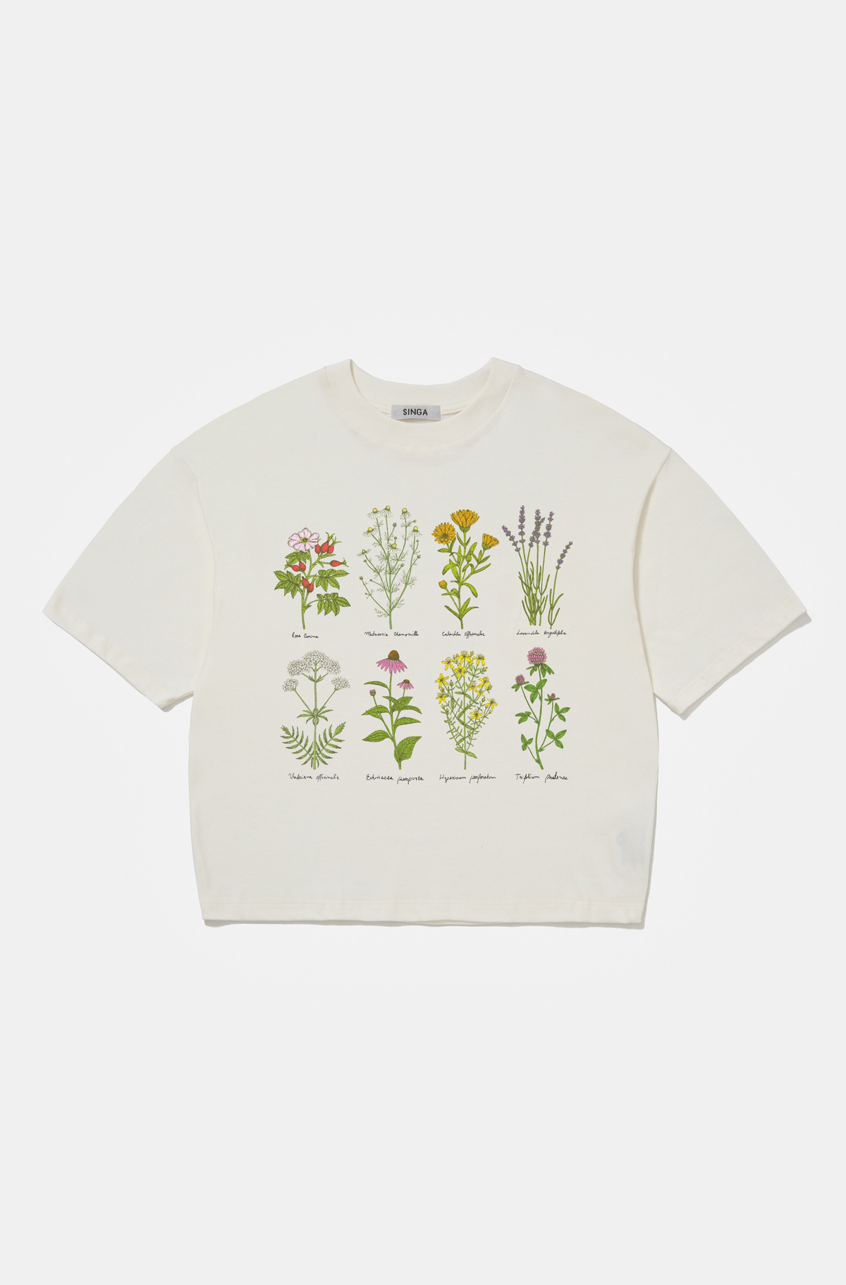 Camiseta Boxy Over Medicinal Herbs