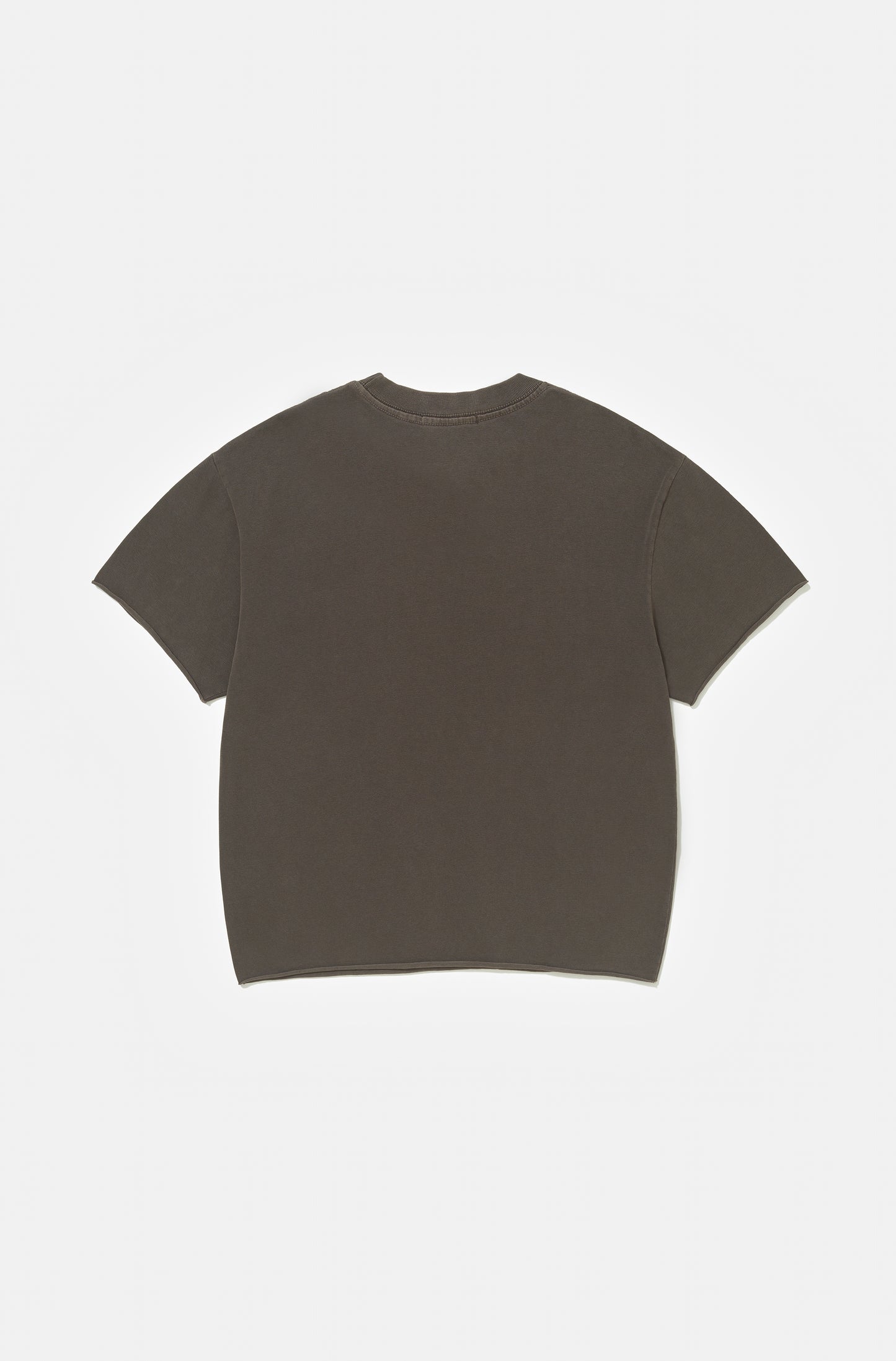 Camiseta Boxy Regular Chakra-Washed™ Beluga Corte a Fio